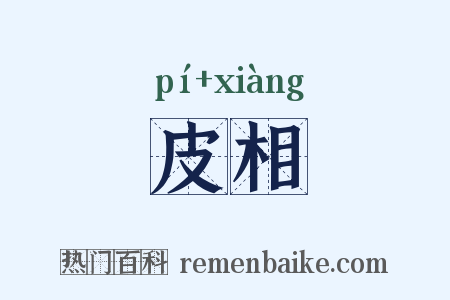 皮相是什么意思的图片